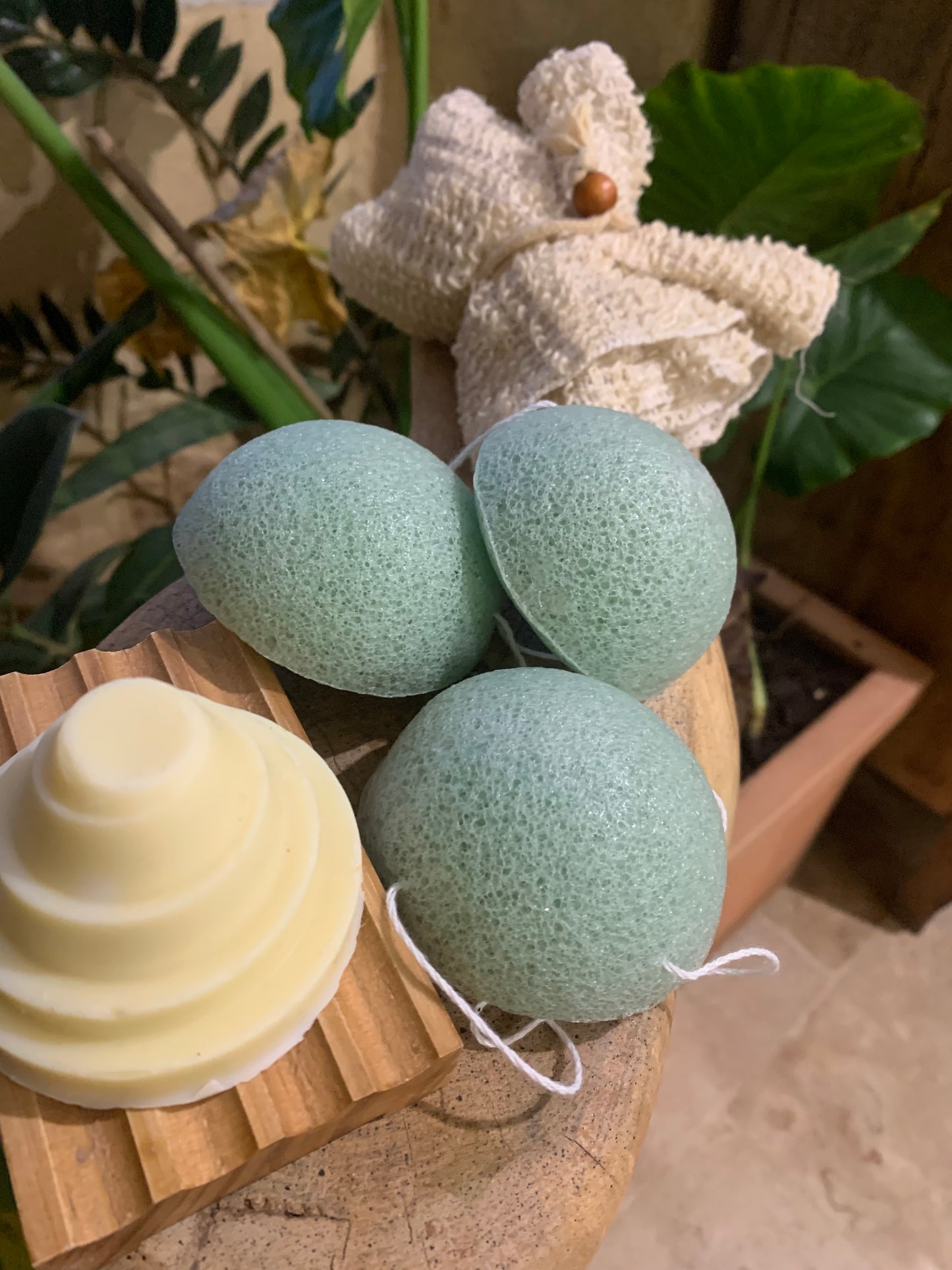 Eponge Konjac