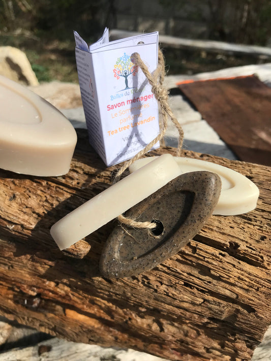Lot de 2 mini savons ménagers