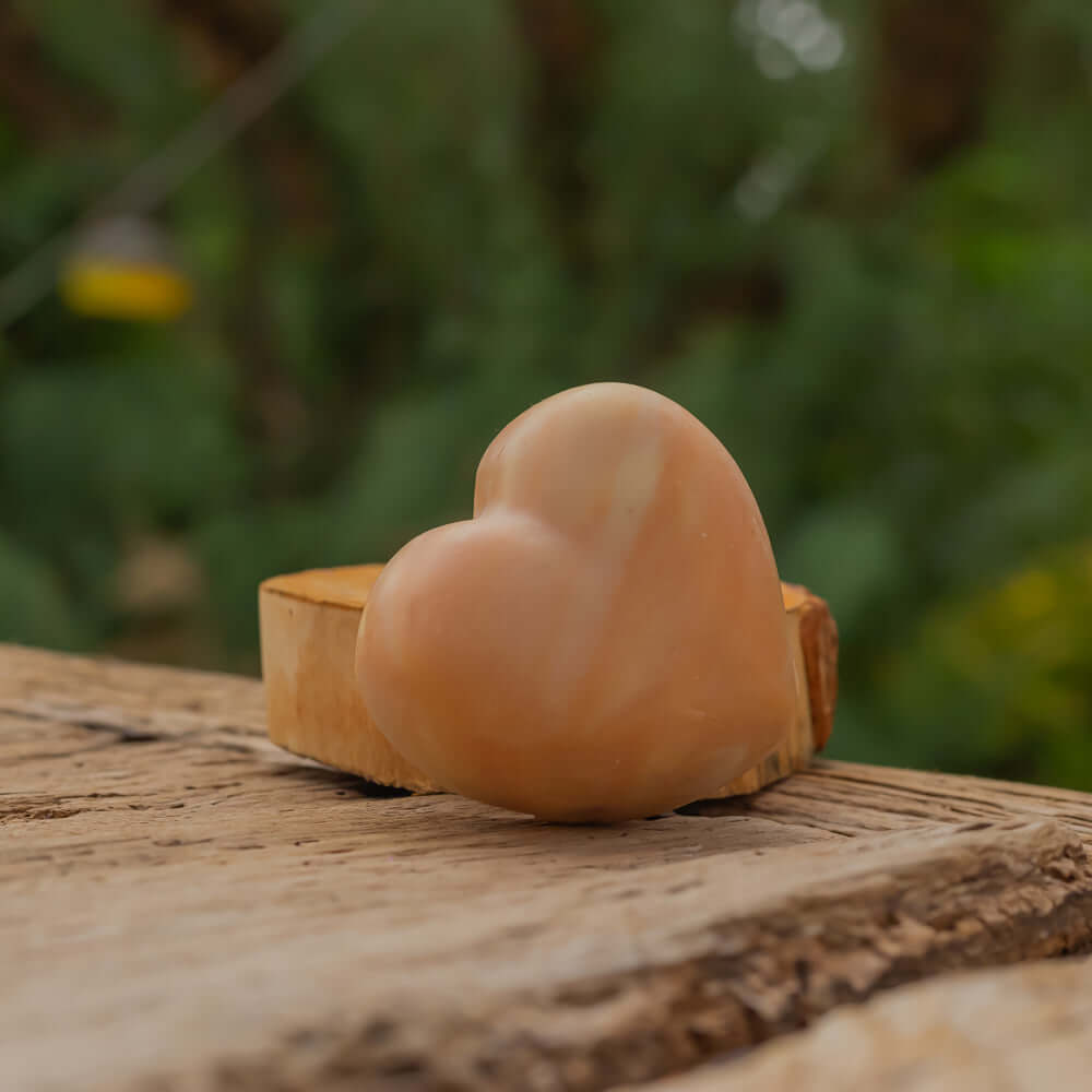 Photo du savon à l'huile de prune de Bulles de R'Êveil